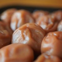 時田園の紀州の南高梅は、塩分控えめで、やわらかくとろける食感で美味しいですよ