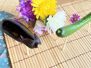 板橋区高島平やまもりチェーンの㈱時田園では、お盆用のお茶と海苔をご用意。お供え物のご進物もそうぞ